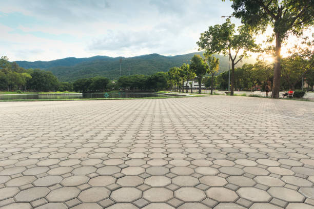 Best Driveway Paver Sealing  in Nicholson, MS